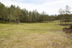SIG_3989