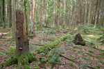 SIG_4881