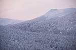 SIG_5706