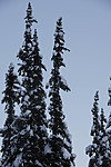 SIG_5764