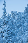 SIG_5769