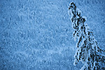 SIG_5850