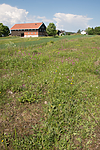 SIG_6674