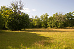 SIG_7461