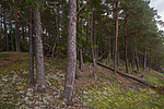 SIG_7967