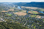 SIG_8019