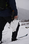 SIG_8596