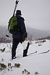SIG_8598