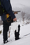 SIG_8605