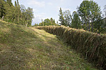 SIG_9404