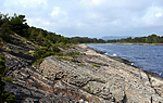 SIR_0668
