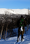 SIR_8730_2