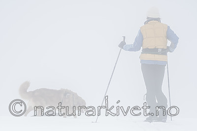 BB_20170401_0174 / Canis lupus familiaris / Hund