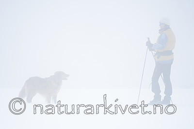 BB_20170401_0246 / Canis lupus familiaris / Hund