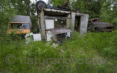 BB_20170618_0354
