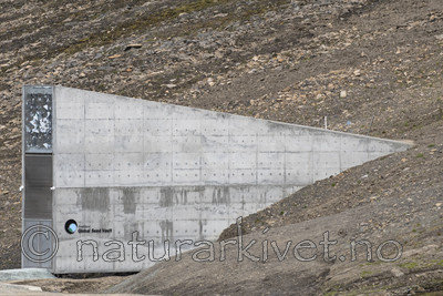 BB_20170804_1309