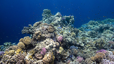 BB_20191003_0158