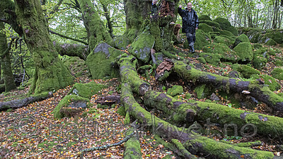 BB_20201002_0037