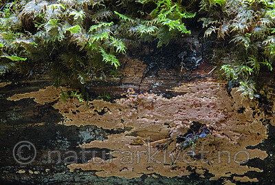 BB_20201021_0009