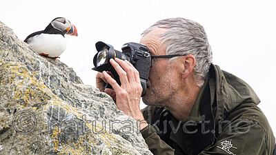 BB_20210626_1353 / Fratercula arctica / Lunde