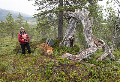 BB_20210731_0287 / Canis lupus familiaris / Hund