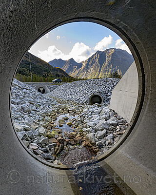 BB_20251004_0068-Forbedret-NR