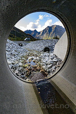 BB_20251004_0069-Forbedret-NR