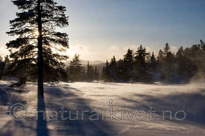KA_08_1_0048