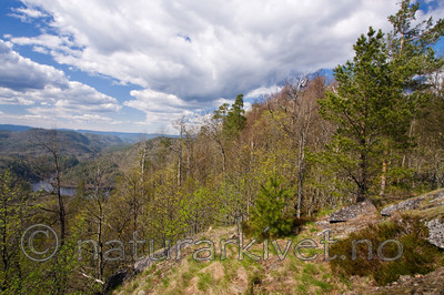 KA_08_1_0785