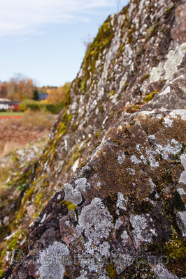 KA_091028_3168 / Lobothallia radiosa / Kalkskiferlav