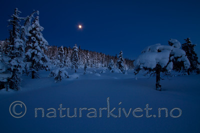 KA_091229_3414