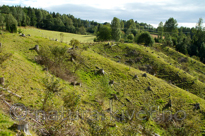 KA_100903_5794