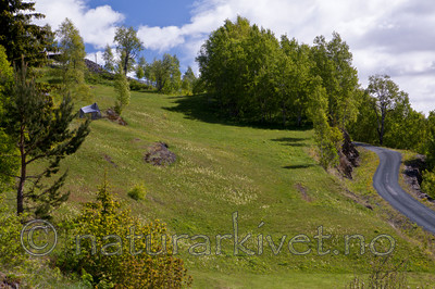 KA_110525_2695