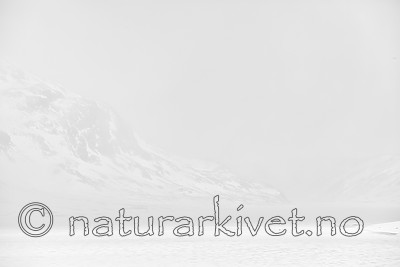 KA_120406_3818-sh