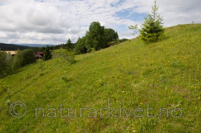 KA_120614_2605