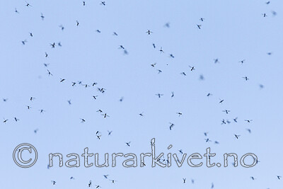 KA_120909_6141