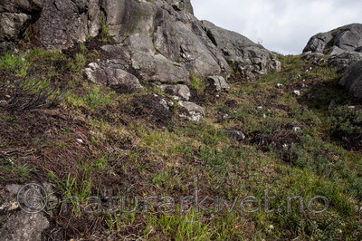 KA_120920_4144