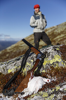 KA_131102_5233 / Lagopus lagopus / Lirype