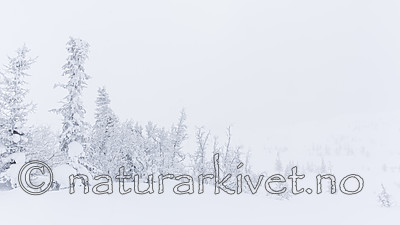 KA_140126_0195