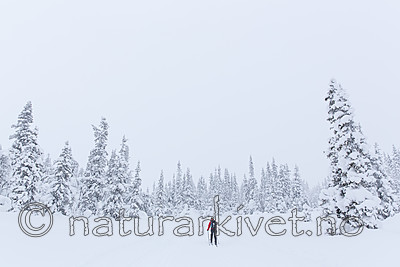KA_140201_0209