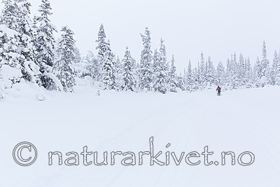 KA_140201_0211