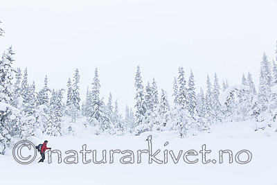KA_140201_0214