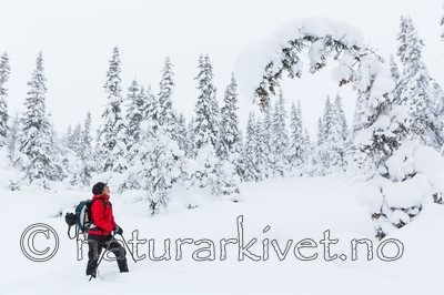 KA_140201_0225
