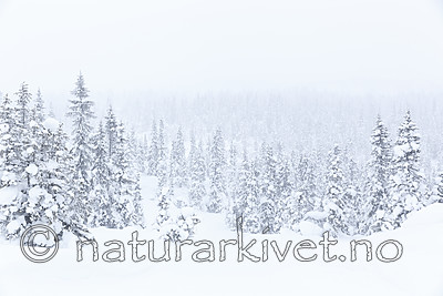 KA_140201_0231