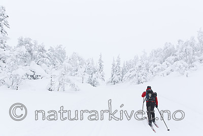 KA_140201_0237