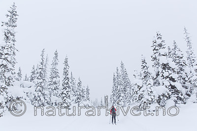 KA_140201_0247
