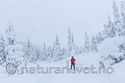 KA_140201_0256