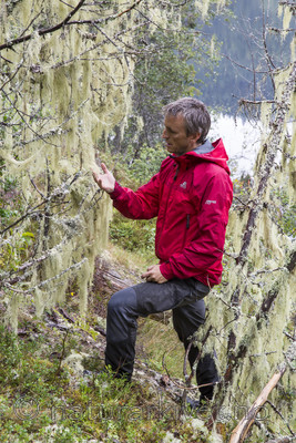 KA_140907_60 / Evernia divaricata / Mjuktjafs