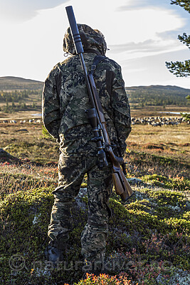 KA_140927_2793 / Rangifer tarandus / Rein