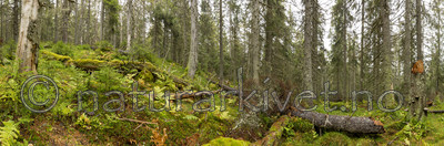 KA_141006_p4371-4384